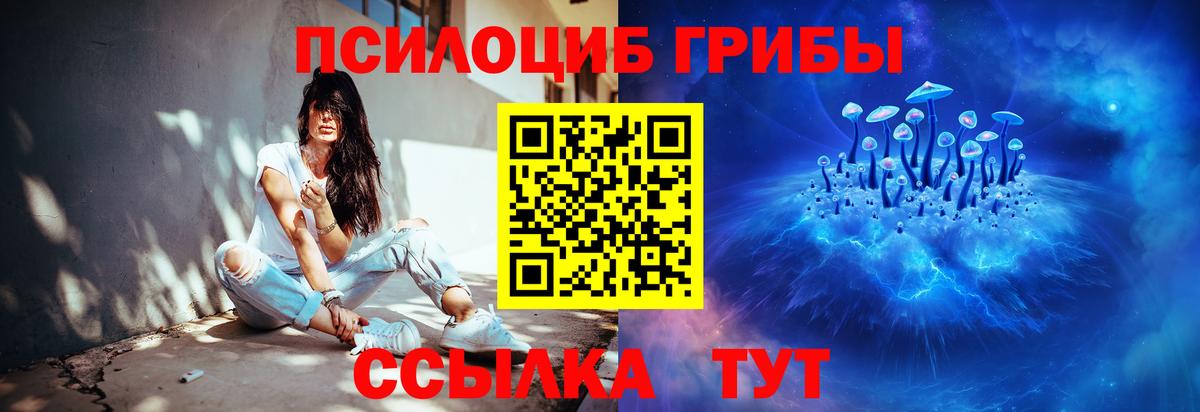 Благовещенск  Галлюциногенные грибы мицелий  Вход с VPN  Псилоцибиновые грибы мицелий 